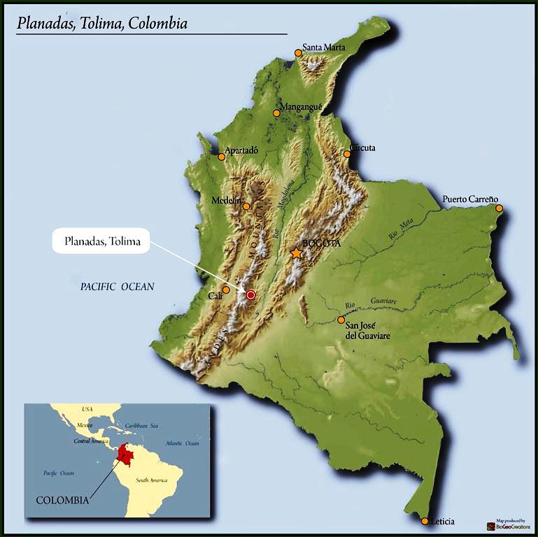 Columbia Tolima (Washed)