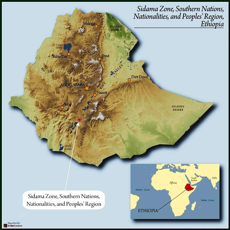 Ethiopia Sidama (Washed)